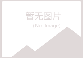 日照岚山迎夏机械有限公司